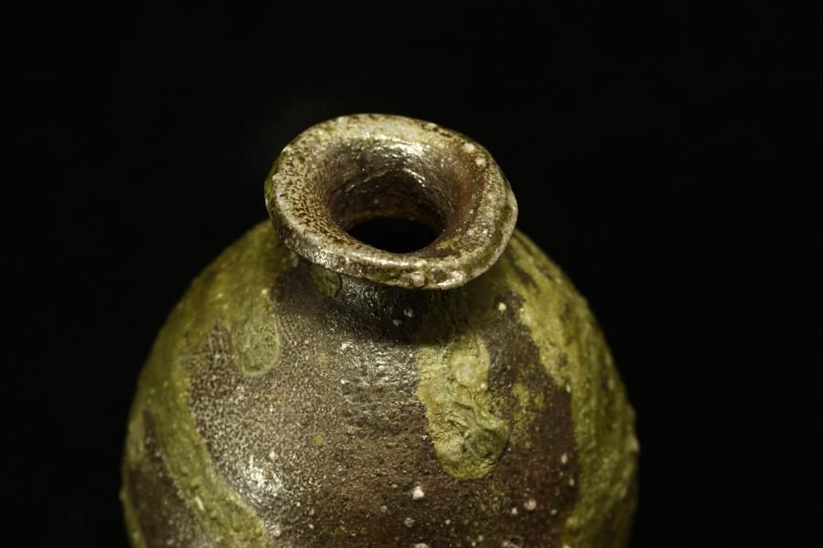 清水万佐年 蛇窯徳利 [ JagamaTokkuri by masatoshi SHIMIZU] - 八丁堀