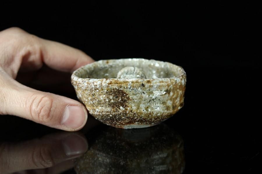 小島陽介 たぬき酒器 [ Tanuki Shuki by Yosuke Kojima ] - 八丁堀 や