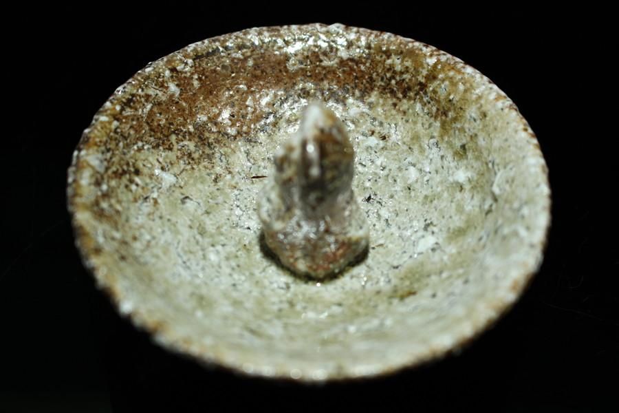 小島陽介　たぬきぐい呑　未使用　箱付き 小島陽介 たぬき酒器 [ Tanuki Shuki by Yosuke Kojima