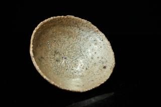 ǯ  [ Ki-hebi Sakazuki by Masatoshi Shimizu ]