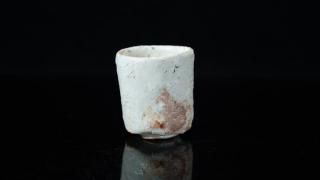 հ 򤰤 [ Shiro Guinomi by Aiko Watanabe ]