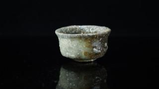 հ ˲줰 [ Iga Guinomi by Aiko Watanabe ]