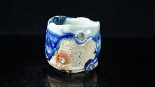 ȼ ظܤ [ Haiyu Gosu Guinomi by Tomohiro Matsumoto ]