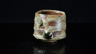ܳͥ ˲줰 [ Iga Guinomi by Yuko Sugama ]