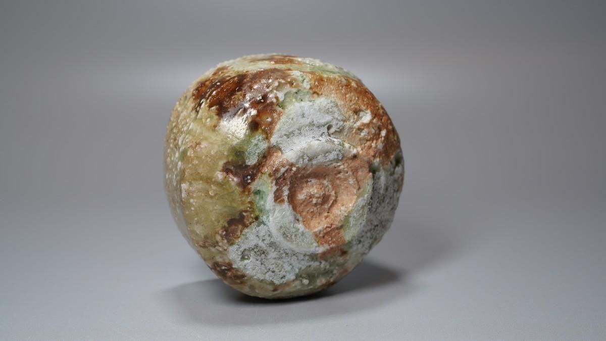 商談中】杉本祐 信楽ぐい呑 [ Shigaraki Guinomi by Yu Sugimoto