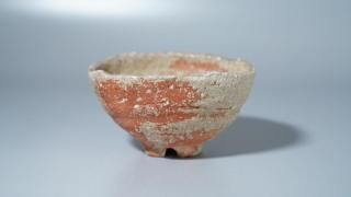 <img class='new_mark_img1' src='https://img.shop-pro.jp/img/new/icons8.gif' style='border:none;display:inline;margin:0px;padding:0px;width:auto;' /> ɮ [ Shigaraki Hissen Guinomi by Hideki Yanashita ]