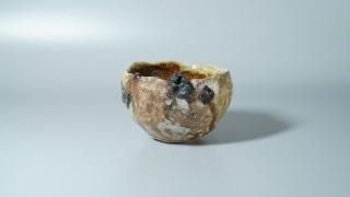 ʡ�翿�� �˲줰����[ Iga Guinomi by Shinya Fukushima ]