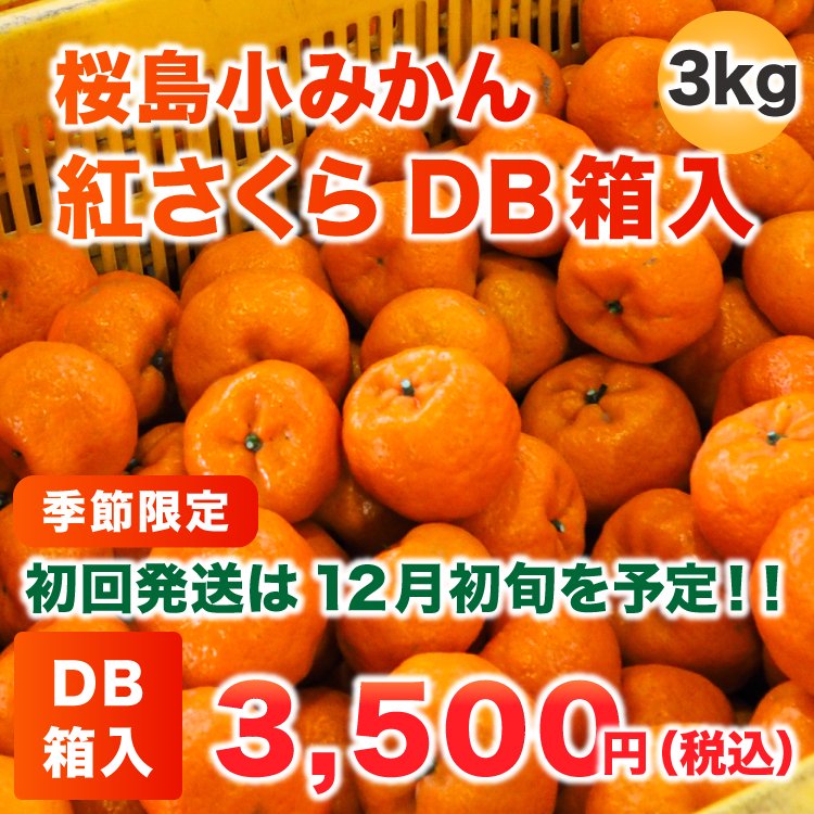 羮ߤֹȤ3kg(DBȢ) ƱԲġۡڻԲġ