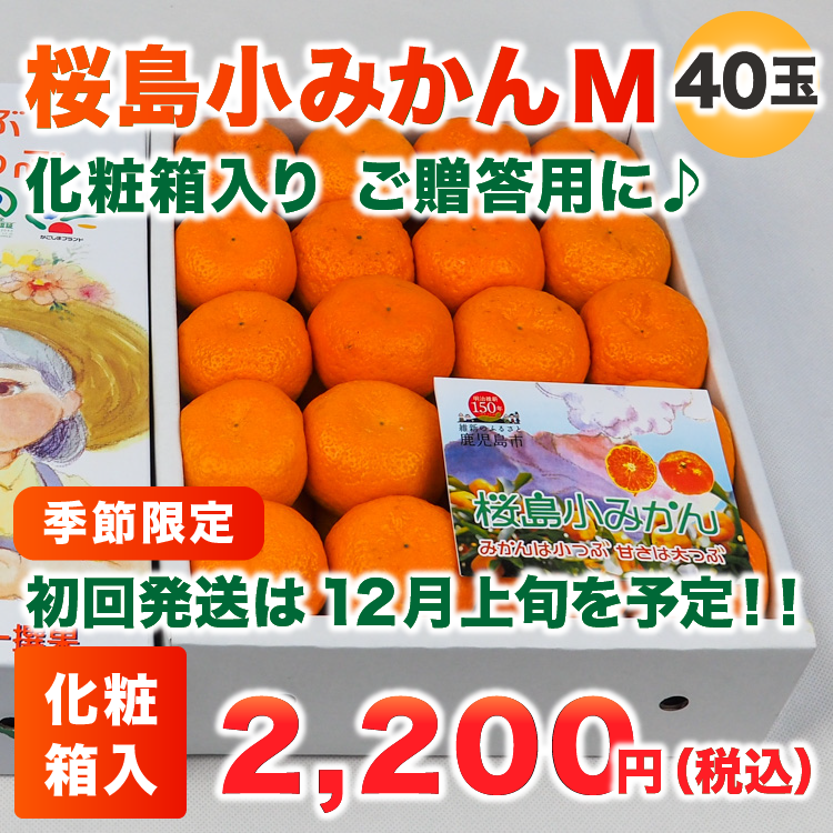 羮ߤ M 40(Ȣ)