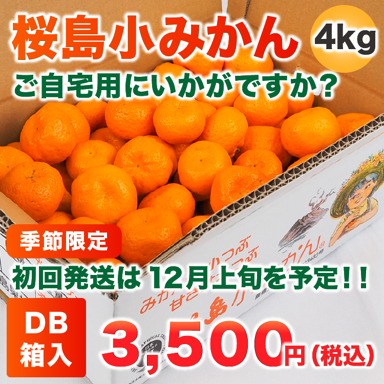 羮ߤ 4kg DB