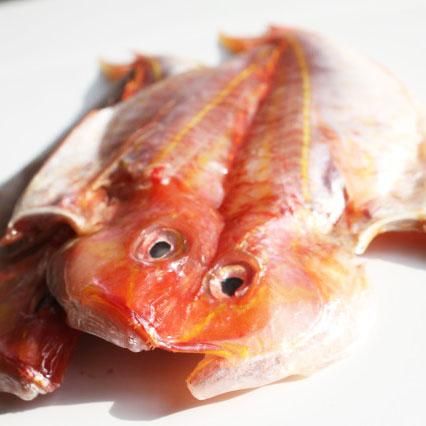 フレンドショップたかはし 天草鮮魚 天草たかはし 高橋 タカハシ 天草 魚 魚介 干物 干し物 一夜干し 天日干し おススメ お勧め 通販 イトヨリ いとより 糸より 意図より いとより干物 高級魚 フレンドショップたかはし 天草鮮魚 天草たかはし 高橋 タカハシ 天草 魚 魚介 干物 干し物 一夜干し 天日干し おススメ お勧め 通販 イトヨリ いとより 糸より 意図より いとより干物 高級魚