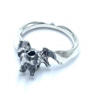 Legio Made 쥮ᥤ Ź 󥰡̵new back bone