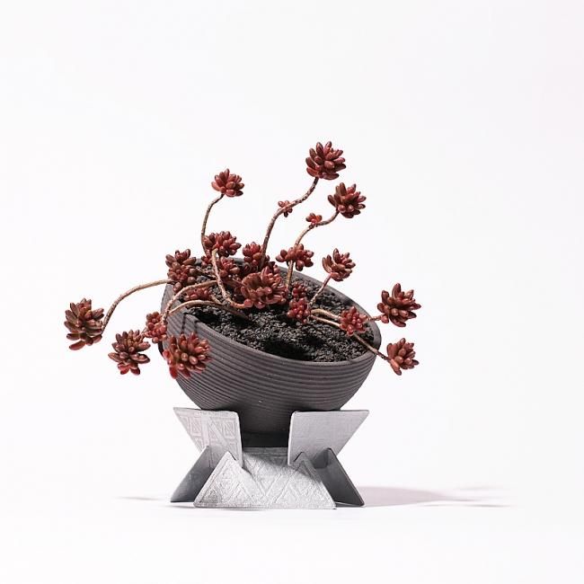 多肉植物・観葉植物・サボテンを仕立てる鉢の専門店 Konect 多肉植物・観葉植物・サボテンを仕立てる鉢の専門店 Konect
