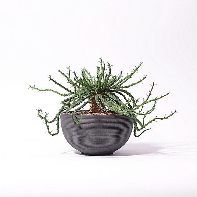 陶器鉢　Konect コネクト Konect.Tokyo