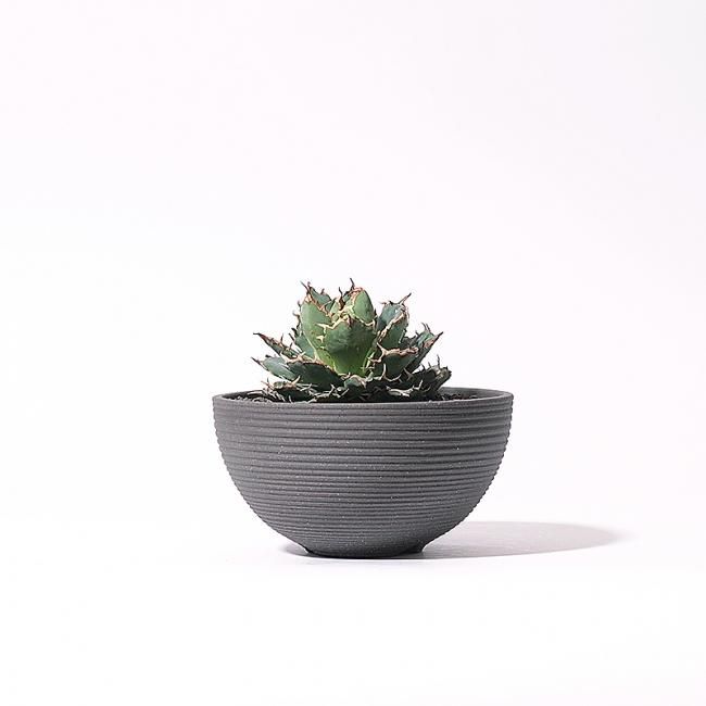 多肉植物 観葉植物 サボテン を仕立てる鉢の専門店 Konect Tokyo コネクト