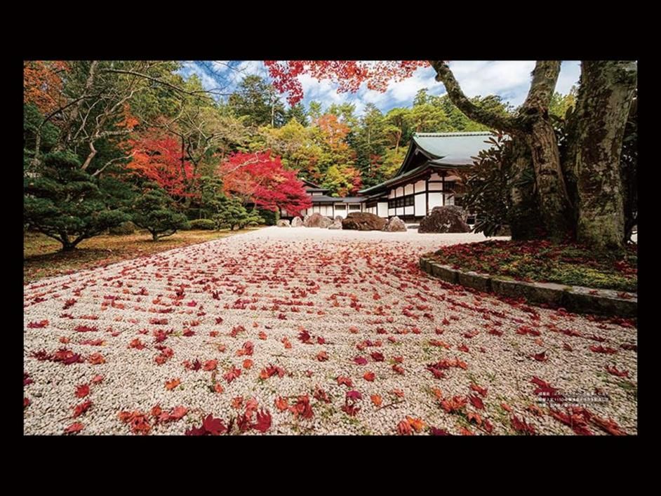 高野山（写真集）