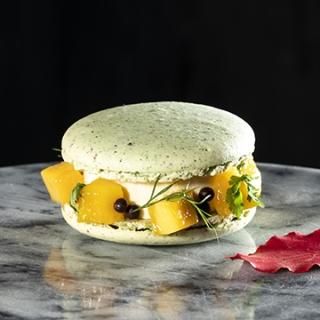 2023春夏新作コレクション　Macaron-vert / マカロン・ヴェール　　　　　　　　　【店舗販売のみ】
