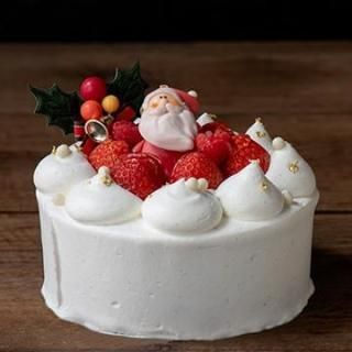 2025ꥹޥΥ륷硼Ȧ15cm ͽ桪ۢ1223-25δŹޤŹƬ䤤ޤԲġ