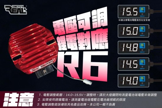 RealEnergy R6+ 電圧調整機能メーター付属 高効率低温MOSFETタイプ