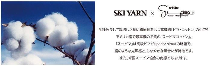お得なまとめ買い 同色10玉パック】 スキー 毛糸（元廣） スキー