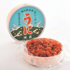 三国産極上越前雲丹 40ｇ(箱なし) - 福井県特産品 波屋