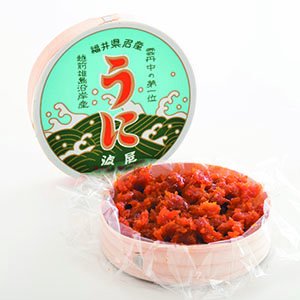 三国産極上越前雲丹 30ｇ(箱無し) - 福井県特産品 波屋