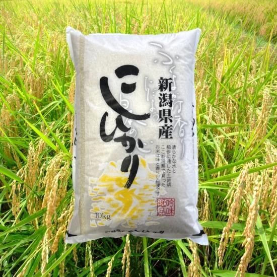 新潟県産コシヒカリ 10kg | 新潟県でも評価の高いお米 【川治米店】 新潟県産コシヒカリ 10kg | 新潟県でも評価の高いお米 【川治米店】