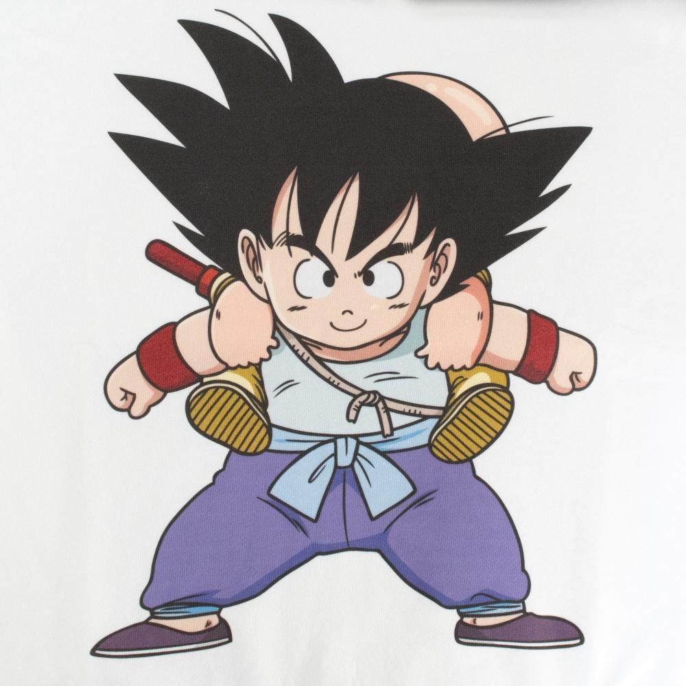 ドラゴンボール - たい フィギュア専門店 -ソダチトイズ / Tsume DIORAMAX