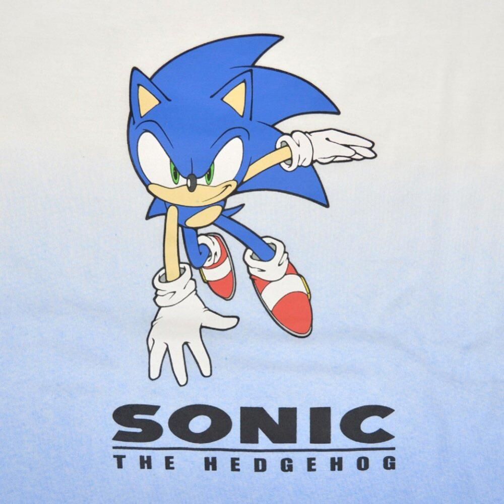 ソニックザヘッジホッグ　バスケットセガソニック ソニックザヘッジホッグ バスケットセガソニック （SEGA