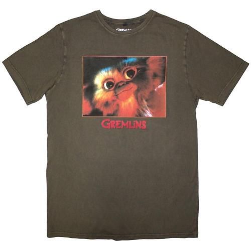 Gremlins  Stone Wash T Gizmo Photo Green