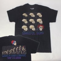 グレイトフルデッド Tシャツ EVOLUTION(XL) 新品 【メール便可】