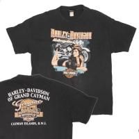 ϡ졼ӥåɥTġGRAND CANYON 塡HARLEY DAVIDSON ڥ᡼زġ