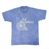 Just Ordinary90's꡼󥹥 USA T  ڥ᡼زġ