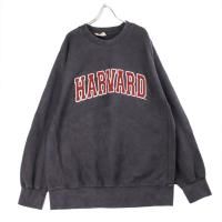 HARVARD åȥ MV sportС֥סåץ