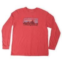 ѥ˥patagonia T USA ڥ᡼زġ