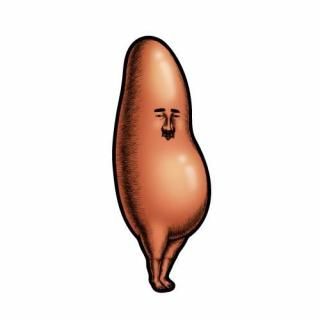 <img class='new_mark_img1' src='https://img.shop-pro.jp/img/new/icons12.gif' style='border:none;display:inline;margin:0px;padding:0px;width:auto;' />󤿤 ӥƥå