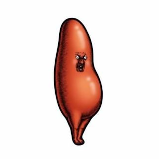 <img class='new_mark_img1' src='https://img.shop-pro.jp/img/new/icons12.gif' style='border:none;display:inline;margin:0px;padding:0px;width:auto;' />󤿤  ӥƥå