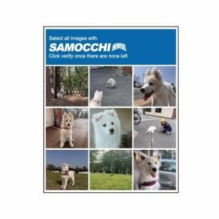 <img class='new_mark_img1' src='https://img.shop-pro.jp/img/new/icons12.gif' style='border:none;display:inline;margin:0px;padding:0px;width:auto;' />NOBOSE "SAMOCCHI"ǧ ӥƥå