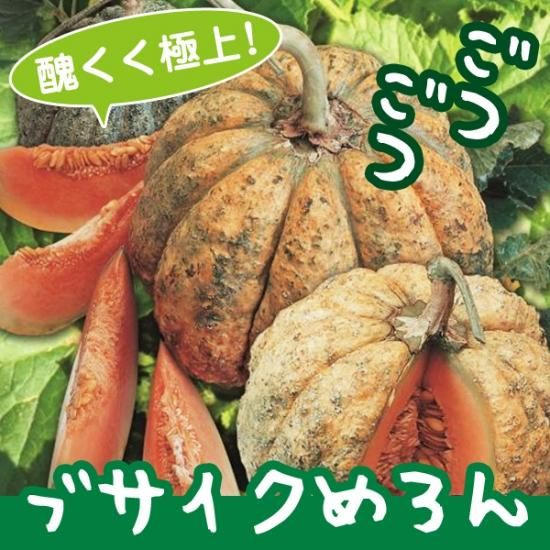 ブサイクめろんの種10粒 醜く極上に美味しいイタリアンメロン ブサイクめろんの種10粒 醜く極上に美味しいイタリアンメロン