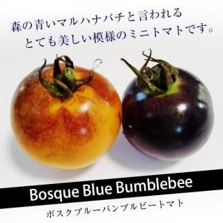 トマト - 珍しい野菜の種専門ショップ(固定種のみ) トマト - 珍しい野菜の種専門ショップ(固定種のみ)