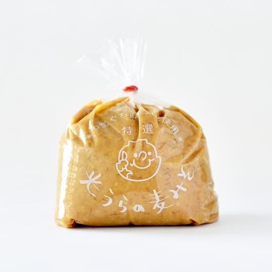 STROLL専用木製ケース＜無垢＞｜STROLL-01 Kumiko-Green1枚付き