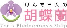 けんちゃんの胡蝶蘭