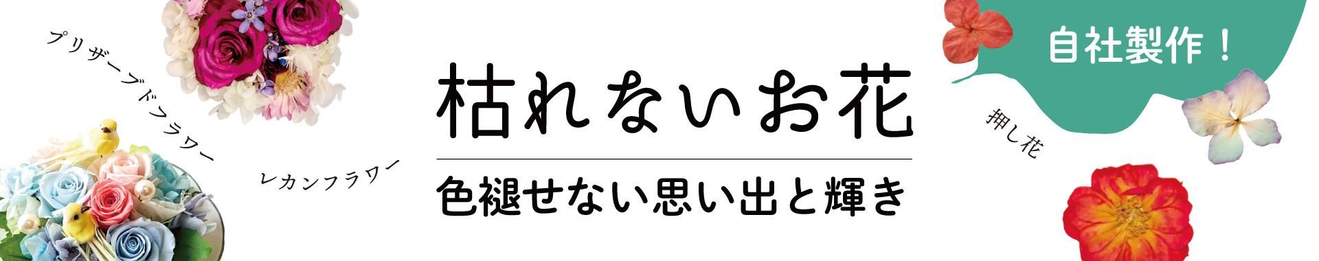 Ϥʤߥ