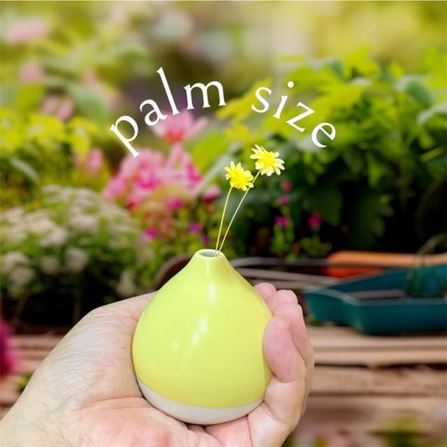 palm size ޤ