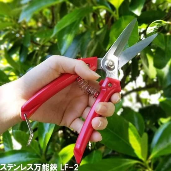  ƥ쥹ǽ LF-2