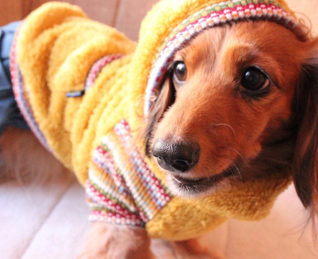 ボアパーカ Pignon Mignon 犬の洋服屋 ピニョンミニョンは ダックス トイプードル チワワ 小型犬を中心としたおしゃれで可愛い犬 服屋です ボアパーカ Pignon Mignon 犬の洋服屋 ピニョンミニョンは ダックス トイプードル チワワ 小型犬を中心としたおしゃれで可愛い犬 服屋です