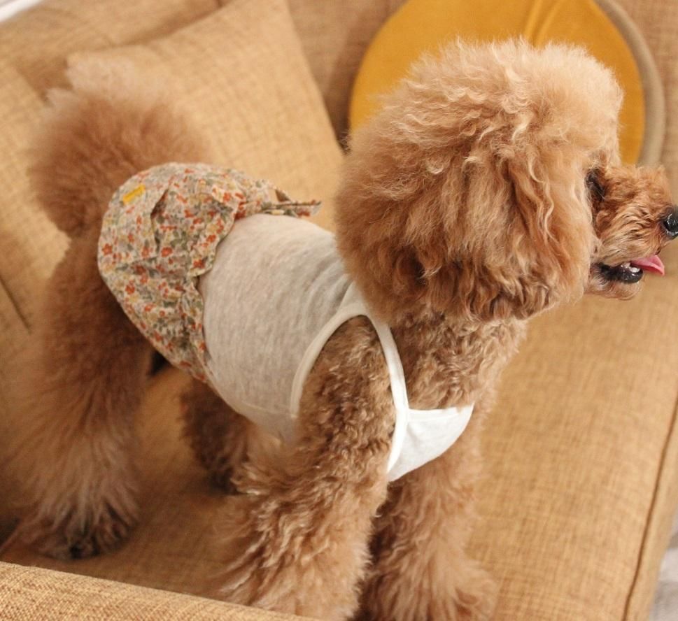 イージーリネンスカート Pignon Mignon 犬の洋服屋 ピニョンミニョンは ダックス トイプードル チワワ 小型犬を中心としたおしゃれで 可愛い犬服屋です イージーリネンスカート Pignon Mignon 犬の洋服屋 ピニョンミニョンは ダックス トイプードル チワワ 小型犬を中心としたおしゃれで 可愛い犬服屋です