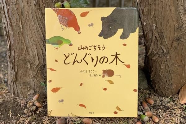 山のごちそう どんぐりの木 ゆきの ようこ 文 川上和生 絵 理論社 Katakana カタカナ 日本のカッコイイを集めたお土産屋さん