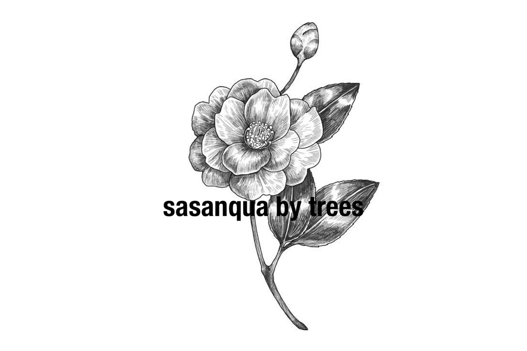 sasanqua by trees / サザンカバイツリーズ