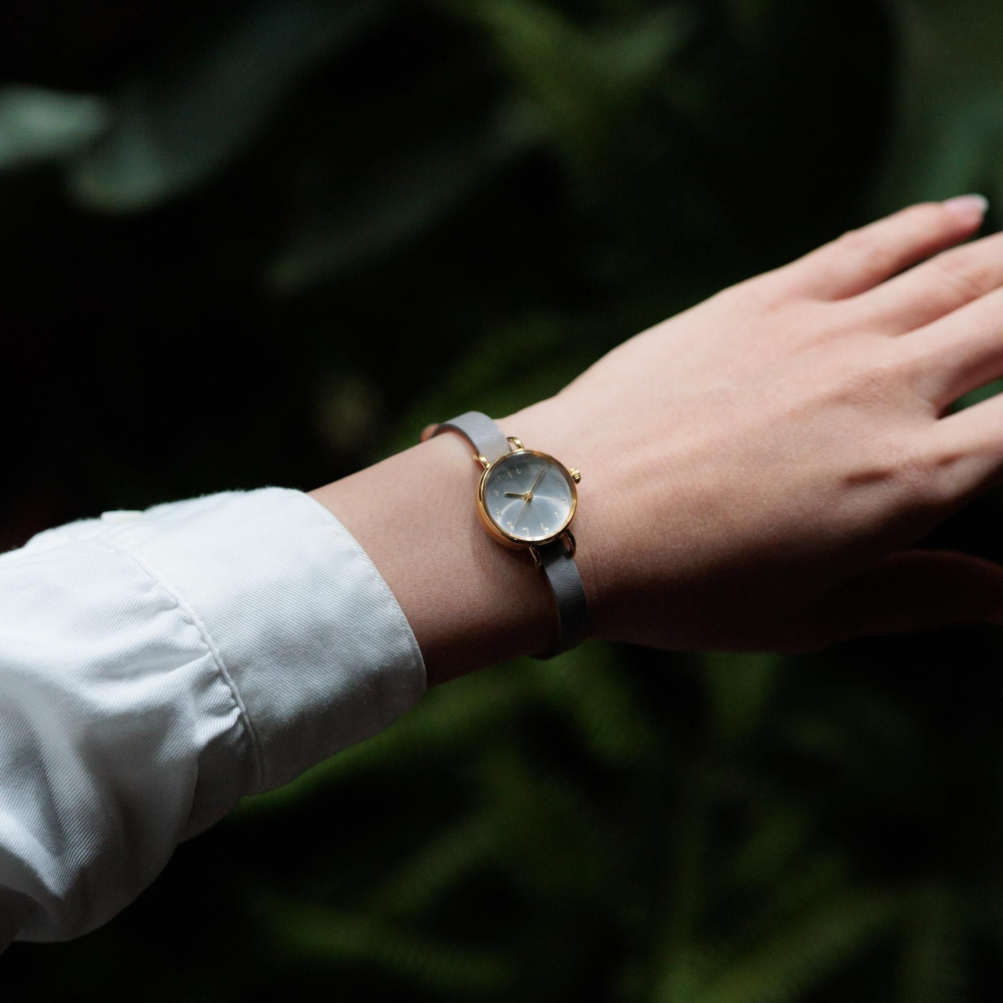 C-Brain シーブレーン